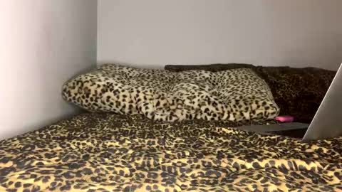 Laycee Layne online show from 09-18-25, 04:14