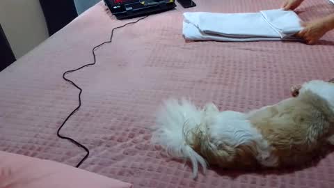 kelly online show from 02-01-25, 07:23