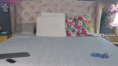 Dia online show from 12-16-25, 05:34