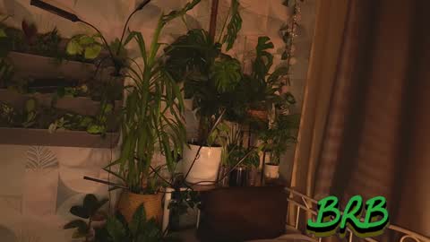 leekta online show from 12-07-24, 07:43