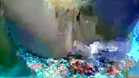 Snapshot of leilah_hope chatting on 02-16-26, 05:47 leilah_hope online show from 02-16-26, 05:47