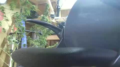 Snapshot of lenghtygirth chatting on 09-09-25, 07:46 HoleStretcher online show from 09-09-25, 07:46