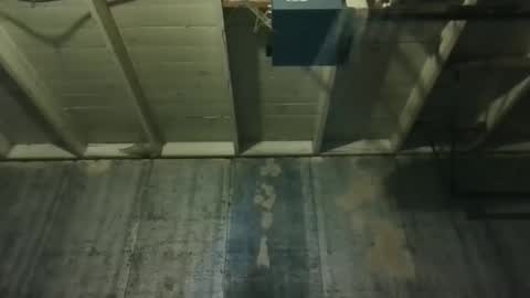 leo199984 online show from 03-25-26, 02:39