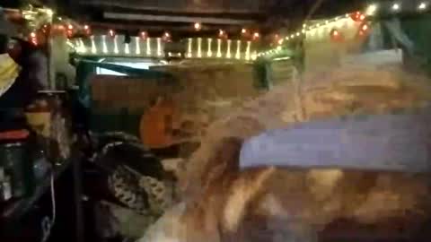 LesleyGumGrass- The Boring Trans girl online show from 07-23-26, 10:40
