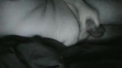 Snapshot of lethandor chatting on 12-25-24, 06:52 Rayne online show from 12-25-24, 06:52