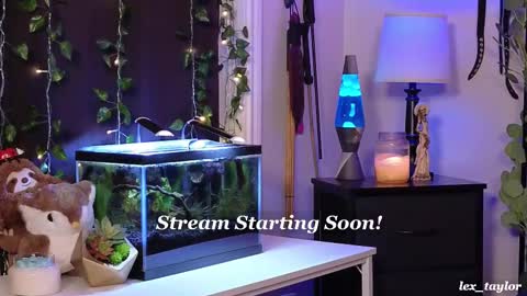 Lex online show from 02-17-25, 04:04