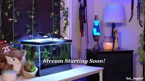 Lex online show from 02-18-25, 04:37