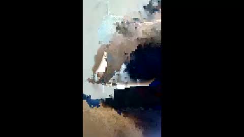 lexboy788181 online show from 04-23-26, 05:52