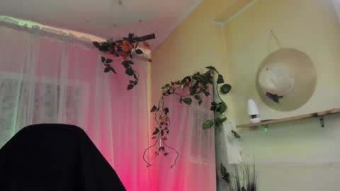   online show from 12-14-24, 02:34