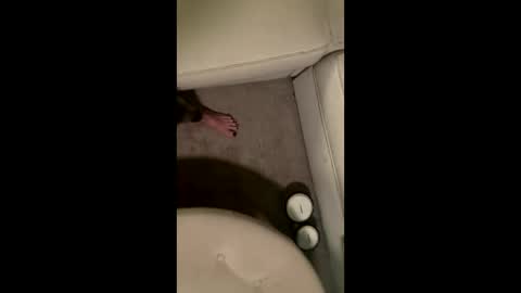 liamleggings online show from 12-01-25, 02:38