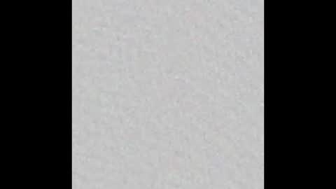 Lian online show from 10-08-25, 11:19