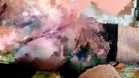 lickingover online show from 04-08-26, 11:32