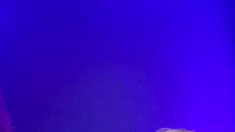 Snapshot of lickyouryoni chatting on 12-02-24, 02:19 LickYourYoni online show from 12-02-24, 02:19