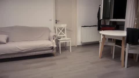 SofieXxxDoll online show from 09-09-25, 10:53