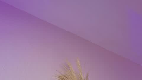 Liiam Luna online show from 04-21-26, 11:05