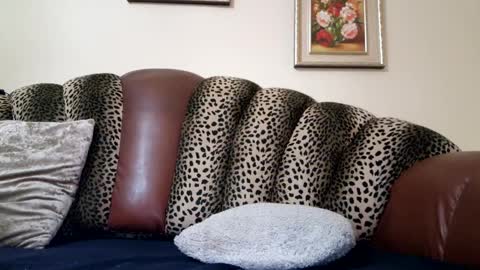 Snapshot of likechoco chatting on 12-19-24, 10:53 Celine online show from 12-19-24, 10:53