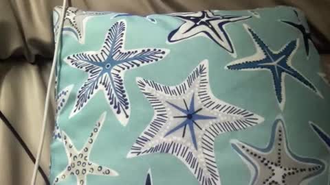 likefhot online show from 11-17-25, 05:02