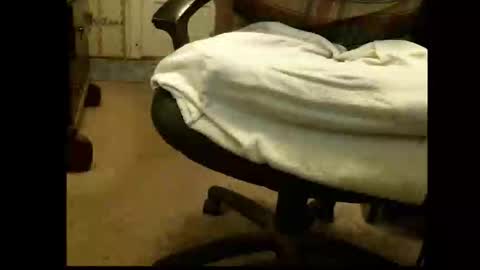 Snapshot of lile_luvit chatting on 03-01-26, 05:37 Sasquatch online show from 03-01-26, 05:37