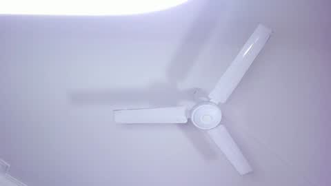 Snapshot of lilith_and_marcusblain chatting on 01-04-25, 10:24 Lili Marcus online show from 01-04-25, 10:24