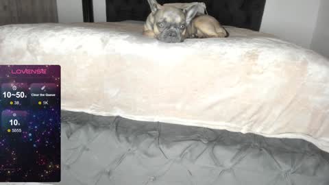 Snapshot of lilith_parker chatting on 01-22-25, 01:20 Lilith Parker online show from 01-22-25, 01:20