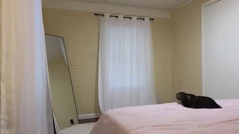 lilly_adams88 online show from 05-21-26, 10:28