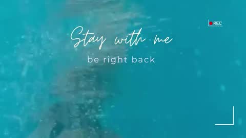 Snapshot of lily_foster_ chatting on 03-06-26, 07:38 Lily online show from 03-06-26, 07:38