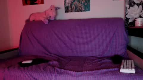 Lily Litle online show from 12-08-24, 06:17