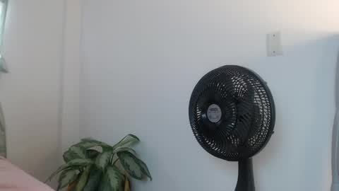 lily_rose0 online show from 06-04-26, 08:04