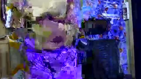 limaakter246618 online show from 10-21-25, 04:41