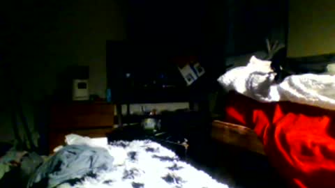 Richie Rich online show from 12-30-24, 11:17