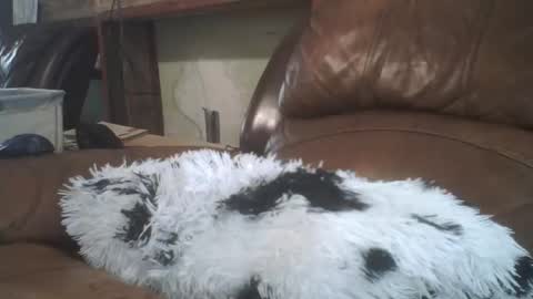 Snapshot of lincolnlongdick chatting on 02-20-26, 08:31 Richie Rich online show from 02-20-26, 08:31