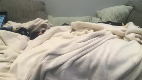 lingeriesissy12 online show from 02-13-25, 11:04