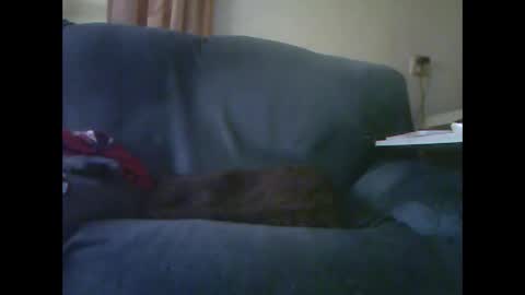 Snapshot of lion160868 chatting on 11-28-25, 09:23 lion160868 online show from 11-28-25, 09:23