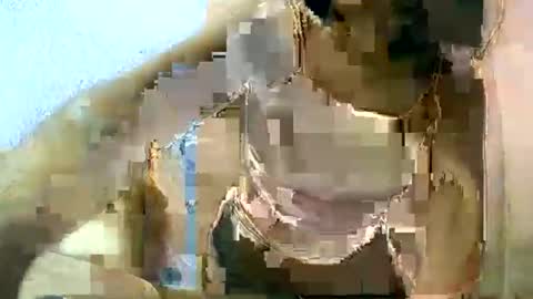 Snapshot of liora_selene chatting on 03-11-25, 06:53 liora online show from 03-11-25, 06:53
