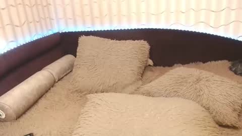 Snapshot of lipsaddiction chatting on 10-20-25, 12:38 LIpsAddiction online show from 10-20-25, 12:38