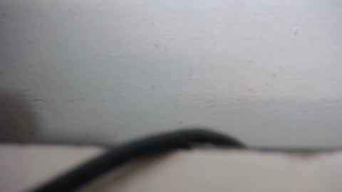 Snapshot of lisa_branch chatting on 09-20-25, 10:27 lisa_branch online show from 09-20-25, 10:27