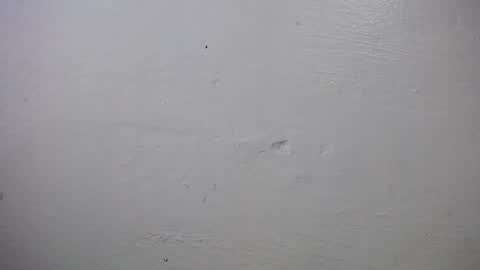 Snapshot of lisa_branch chatting on 10-04-25, 10:24 lisa_branch online show from 10-04-25, 10:24