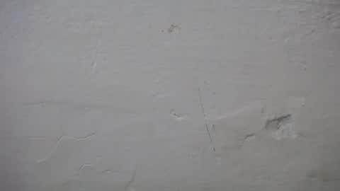 Snapshot of lisa_branch chatting on 10-06-25, 07:11 lisa_branch online show from 10-06-25, 07:11