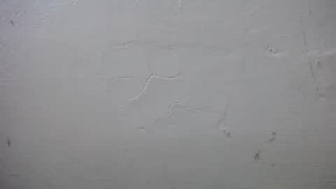 Snapshot of lisa_branch chatting on 10-13-25, 07:25 lisa_branch online show from 10-13-25, 07:25