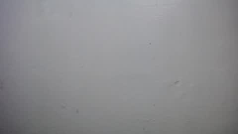 Snapshot of lisa_branch chatting on 10-18-25, 10:16 lisa_branch online show from 10-18-25, 10:16