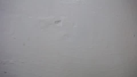 Snapshot of lisa_branch chatting on 10-27-25, 10:41 lisa_branch online show from 10-27-25, 10:41