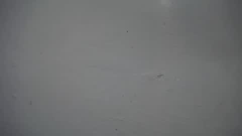 Snapshot of lisa_branch chatting on 11-16-25, 12:33 lisa_branch online show from 11-16-25, 12:33