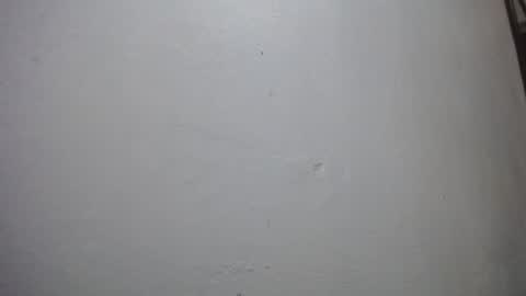 Snapshot of lisa_branch chatting on 11-29-25, 11:02 lisa_branch online show from 11-29-25, 11:02