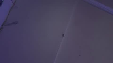 Snapshot of lisaloch666 chatting on 12-25-24, 11:00 cristin online show from 12-25-24, 11:00