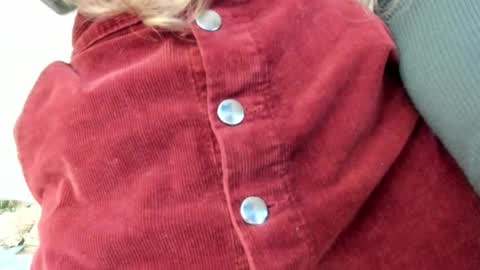 Snapshot of lissacain chatting on 10-30-25, 05:24 Lissa online show from 10-30-25, 05:24