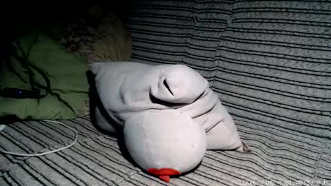 Snapshot of littlebuddycze chatting on 02-17-26, 12:40 Malej Kmo online show from 02-17-26, 12:40