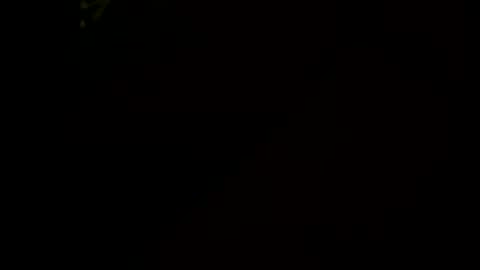 Little Tj online show from 01-17-26, 06:29