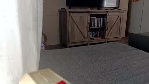 LjCherry online show from 09-11-25, 05:02