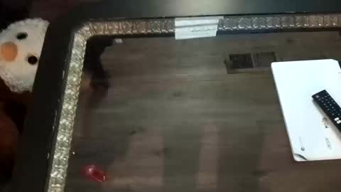 LjCherry online show from 11-01-25, 07:21