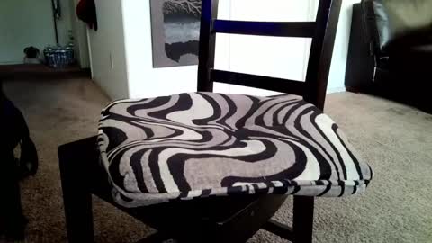 LL Cool Jake online show from 03-16-26, 02:21